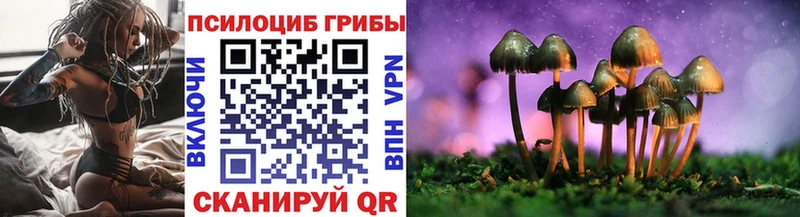 Псилоцибиновые грибы мухоморы  блэк спрут   Электрогорск  хочу наркоту 